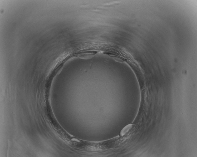 X0000061750250200512091643