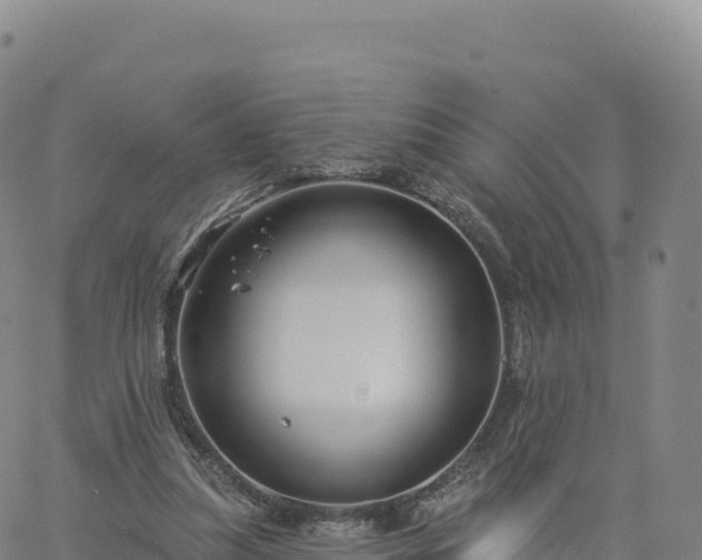 X0000061750251200512091643