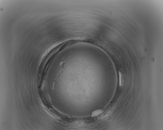 X0000061750252200512091643