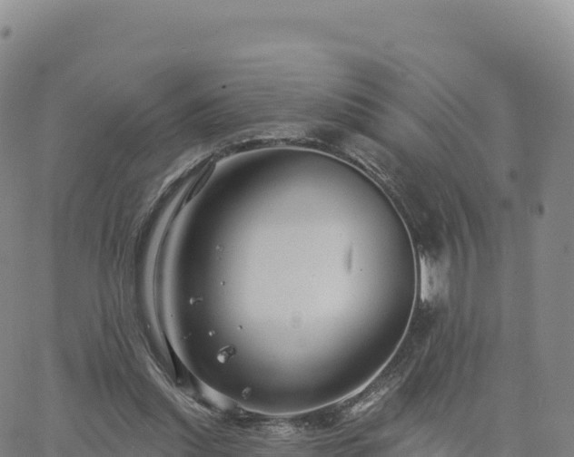 X0000061750253200512091643