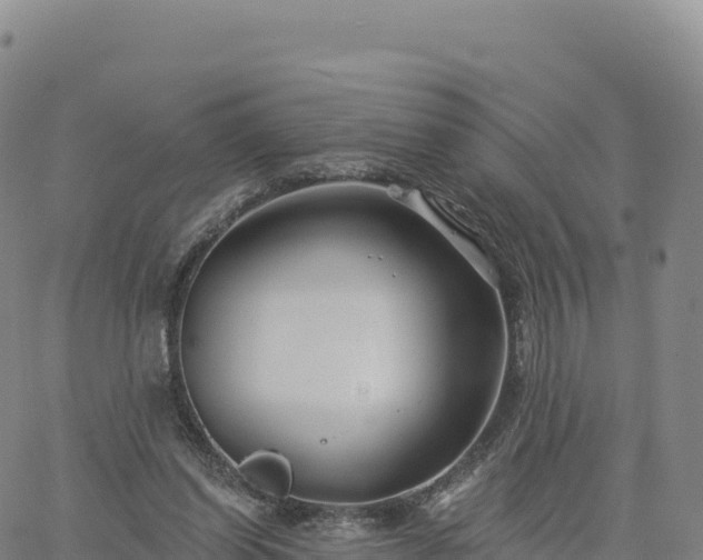 X0000061750254200512091643