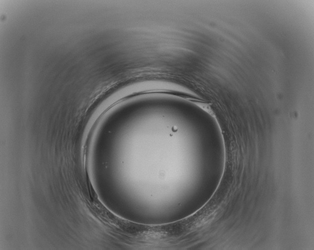 X0000061750255200512091643