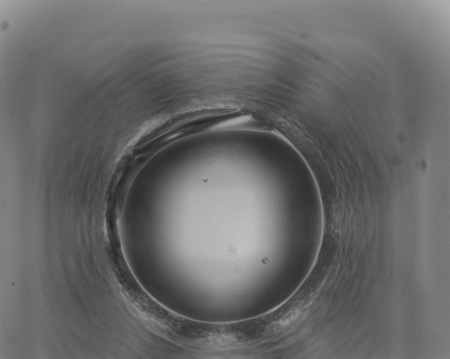 X0000061750256200512091643