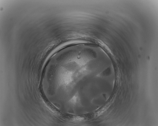 X0000061750257200512091643