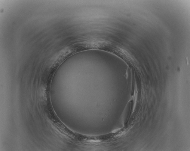 X0000061750258200512091643