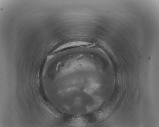 X0000061750259200512091643