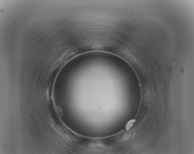 X0000061750262200512091643