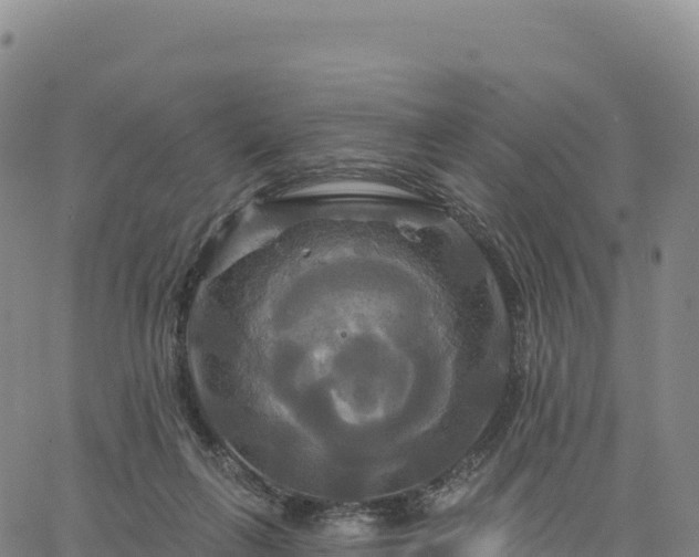 X0000061750263200512091643