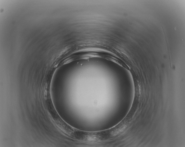 X0000061750264200512091643