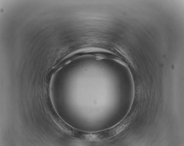 X0000061750265200512091643