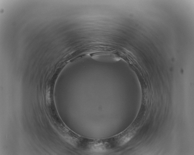 X0000061750267200512091643