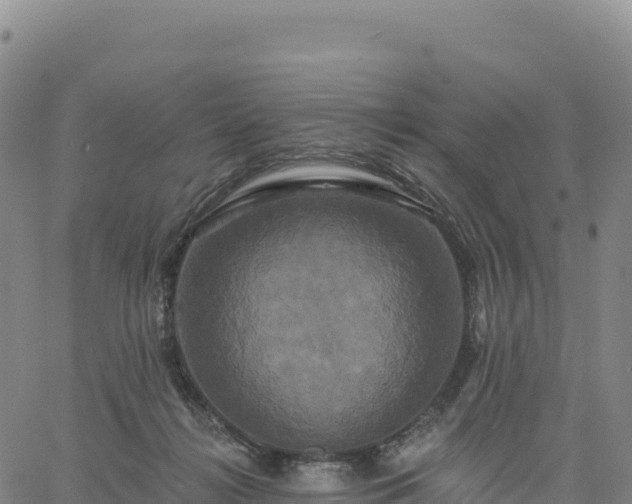 X0000061750268200512091643