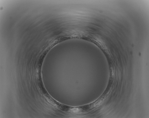 X0000061750269200512091643