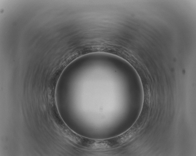 X0000061750270200512091643