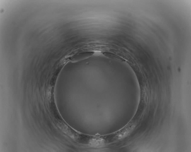 X0000061750271200512091643