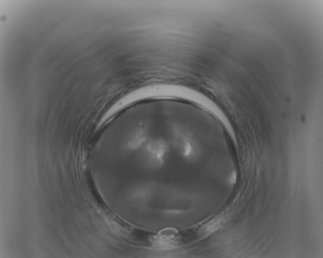 X0000061750273200512091643