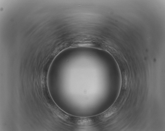 X0000061750274200512091643