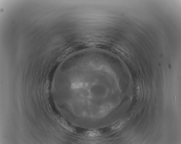 X0000061750275200512091643