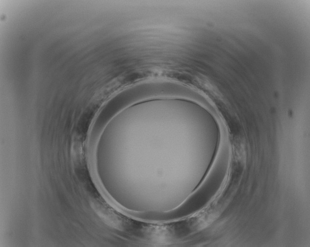 X0000061750276200512091643