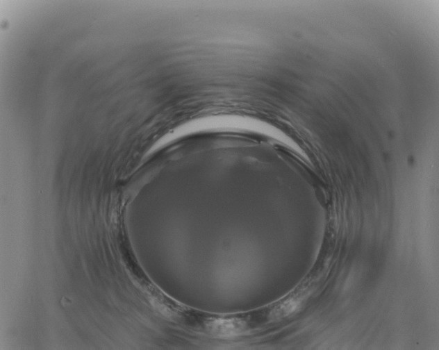 X0000061750277200512091643