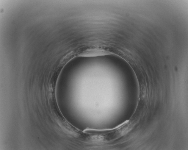 X0000061750279200512091643