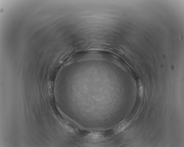 X0000061750280200512091643