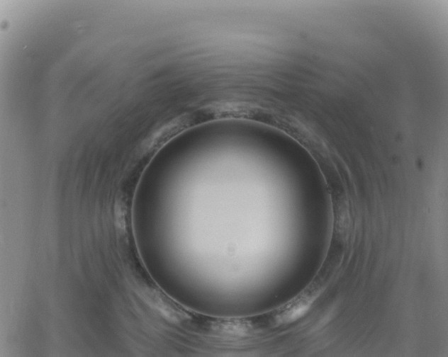 X0000061750282200512091643