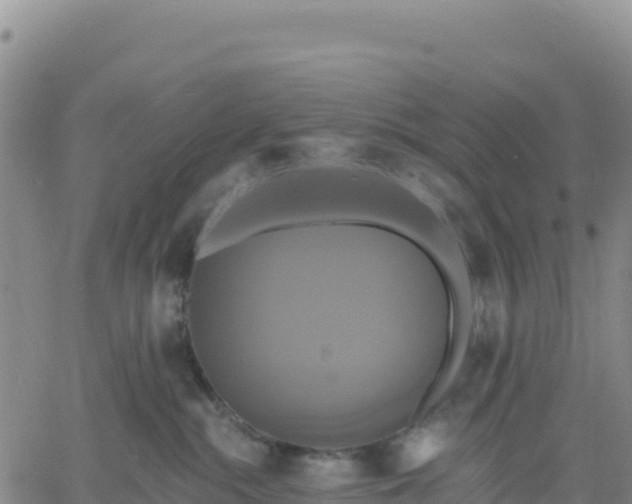 X0000061750284200512091643