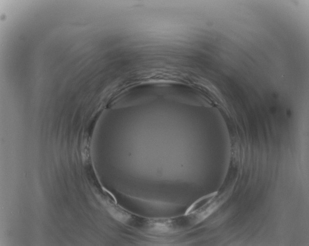 X0000061750285200512091643