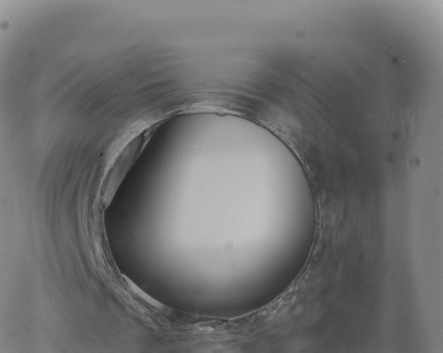 X0000061750289200512091643