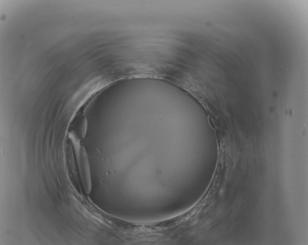 X0000061750290200512091643