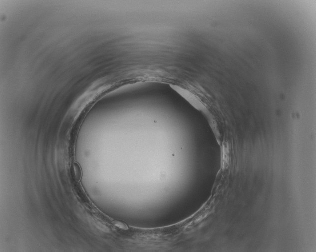 X0000061750291200512091643