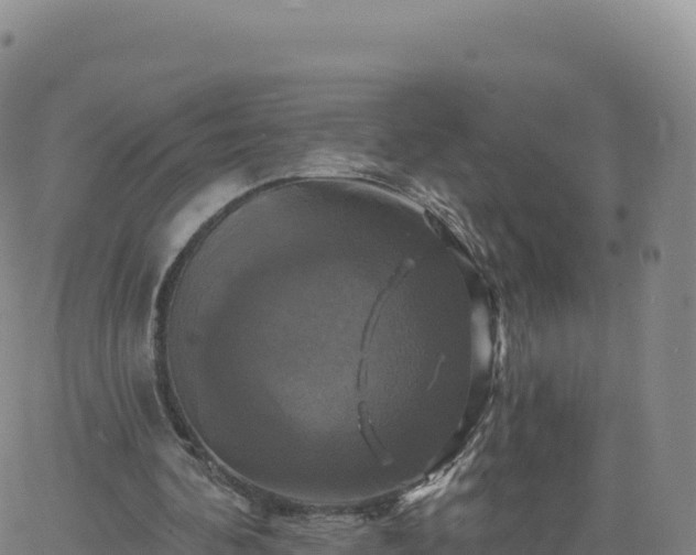 X0000061750292200512091643