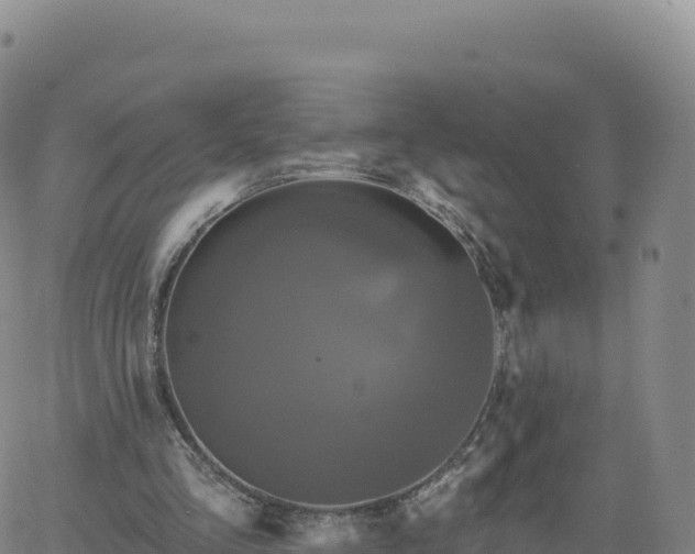 X0000061750293200512091643