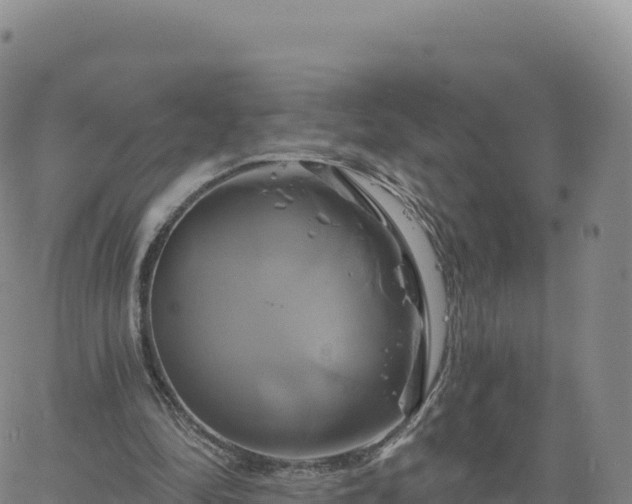 X0000061750294200512091643