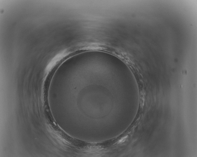 X0000061750296200512091643