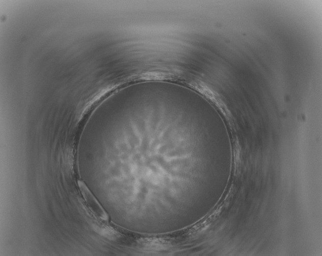 X0000061750297200512091643