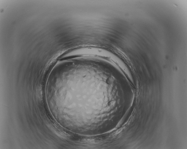 X0000061750298200512091643