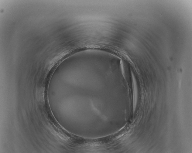 X0000061750299200512091642