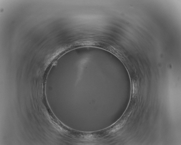 X0000061750301200512091642