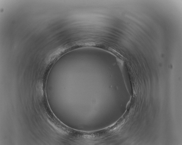 X0000061750302200512091642