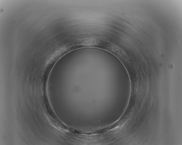 X0000061750303200512091642