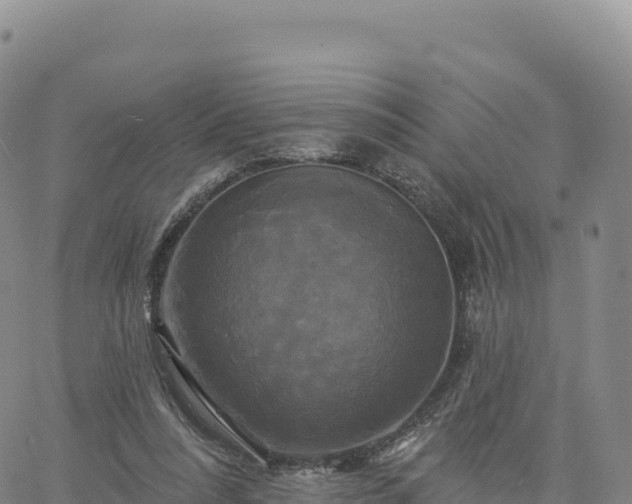 X0000061750304200512091642