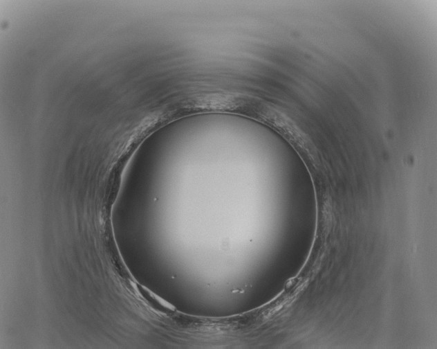 X0000061750305200512091642