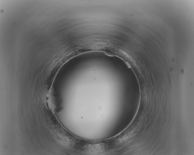 X0000061750307200512091642