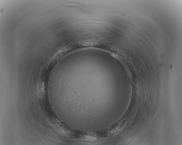 X0000061750308200512091642