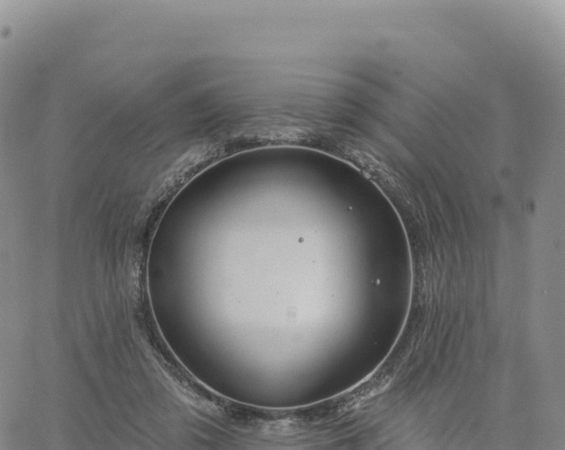 X0000061750309200512091642