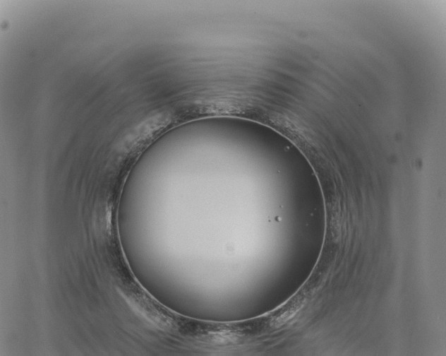 X0000061750310200512091642