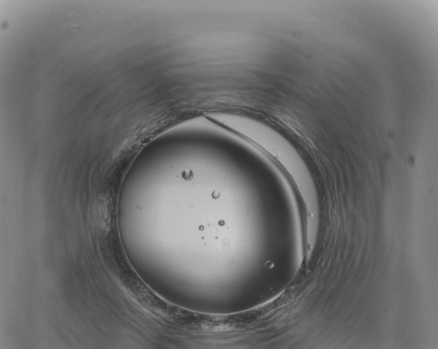 X0000061750311200512091642