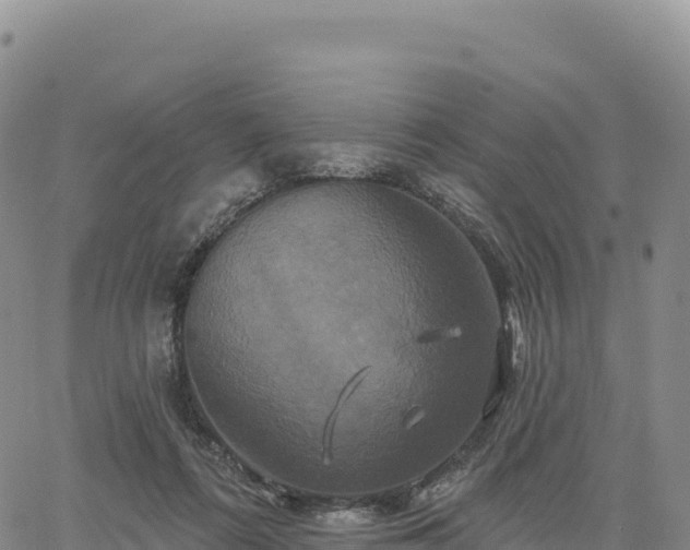 X0000061750312200512091642